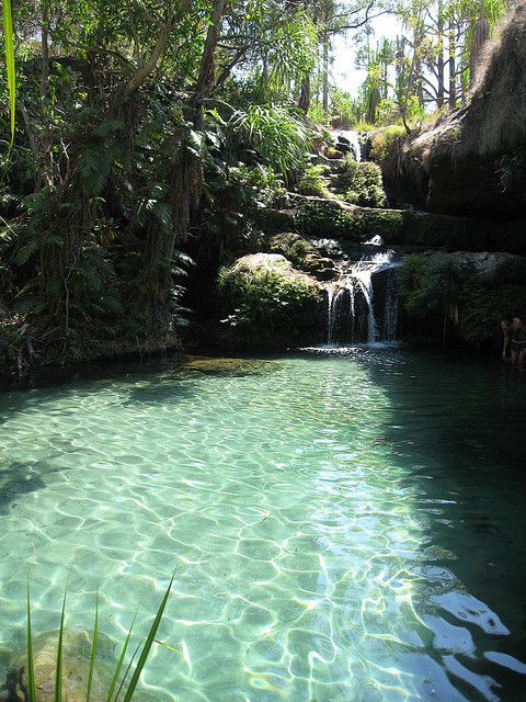 Natural swimming pool, Isalo national park, Madagascar Natural swimming pool, Isalo national park, Madagascar