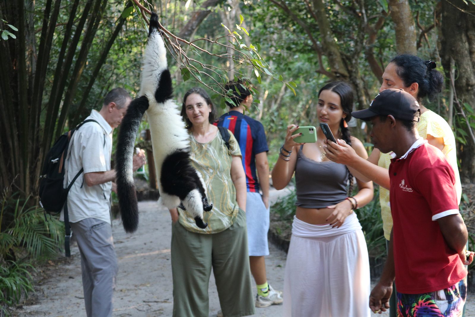 Travellers photographing a black-and-white ruffed lemur with their guide